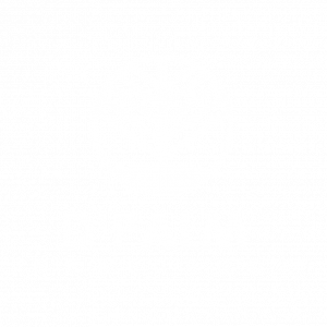 logo-pth
